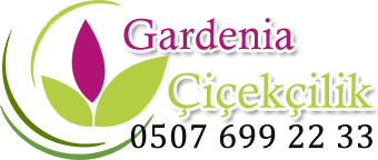 Suculent Aranjman - Suculent - Teraryum Çiçek Siparişi - Suculent - Teraryum Çiçek Gönder GardeniaÇiçekçilik